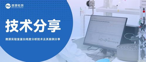 实验室蛋白纯度分析技术全解析