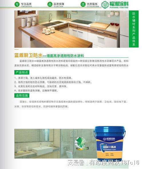 从技术到服务 实力防水涂料厂家的全链路解析与信息技术咨询服务