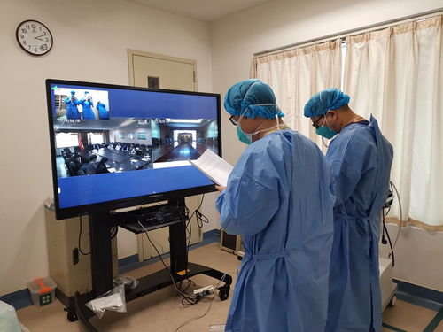 青岛市软件和信息技术服务企业 以信息技术咨询为矛，全力支撑疫情防控