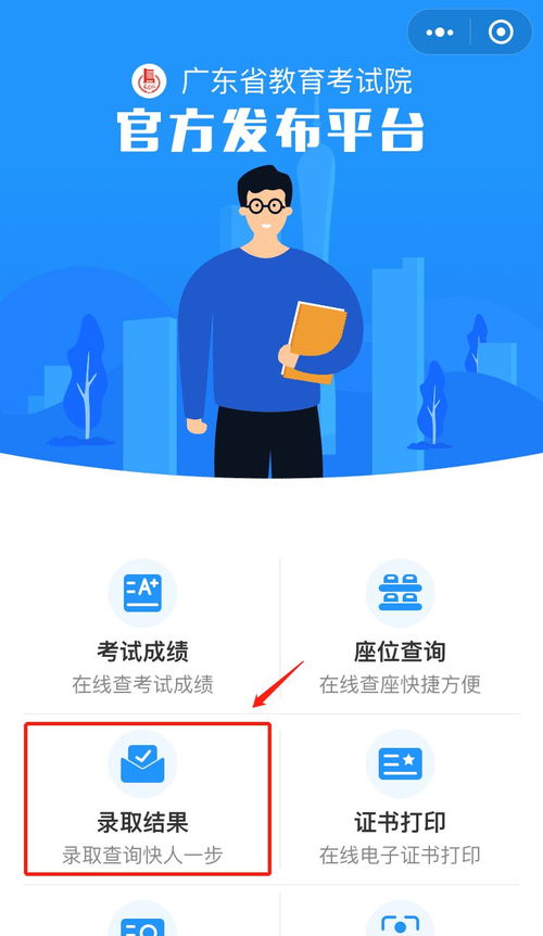 2021年深圳信息职业技术学院录取结果查询方式与信息技术咨询服务指南